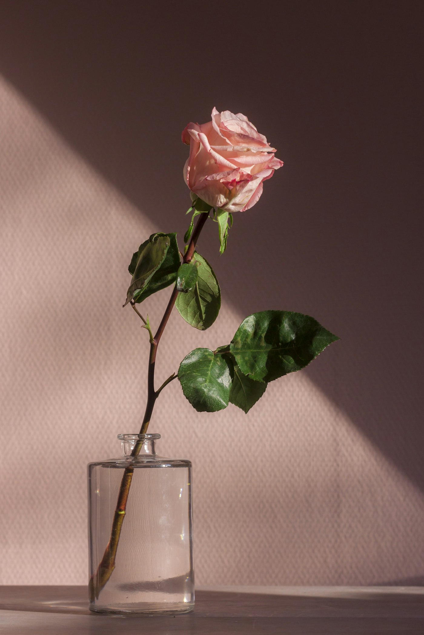 A clean recut and a glass that can actually be washed