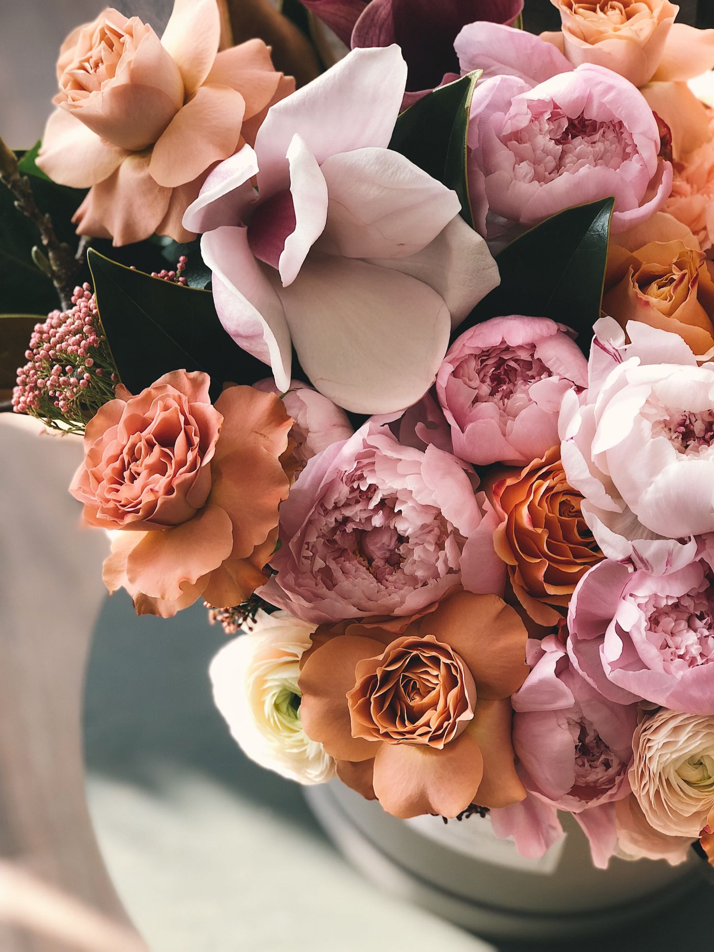 Open peony heads in late spring