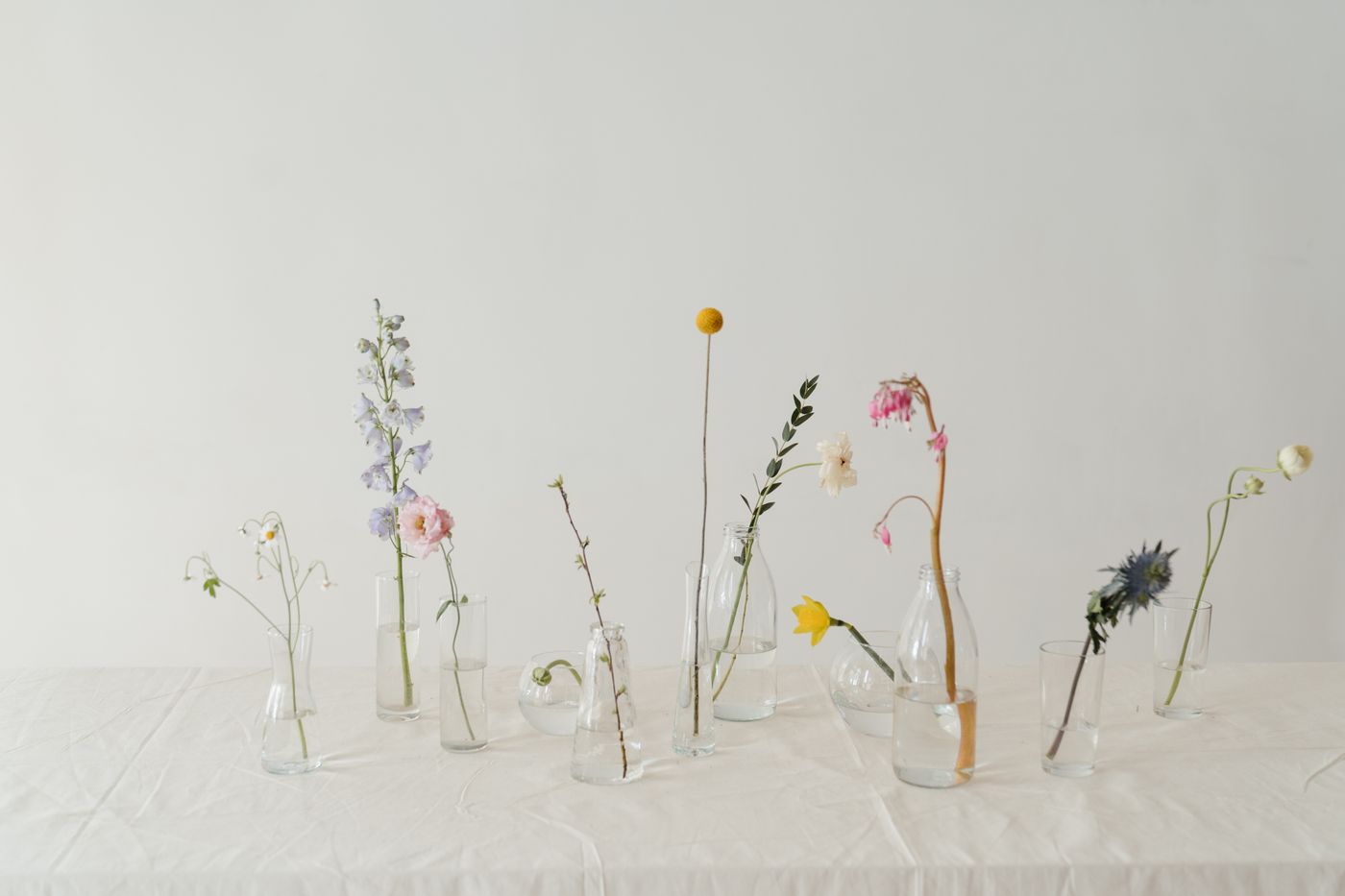 Single stems drinking in glass on the studio table